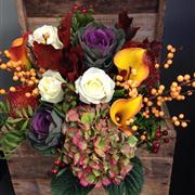 All for Autumn