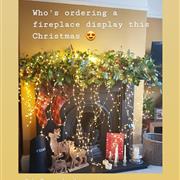 Natural foliage,herb, berry display (lights not included)